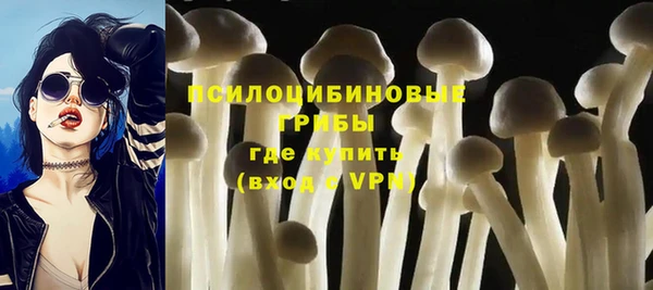 мяу мяу мука Арсеньев