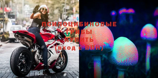 мяу мяу мука Арсеньев