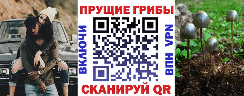 Галлюциногенные грибы мухоморы Асбест